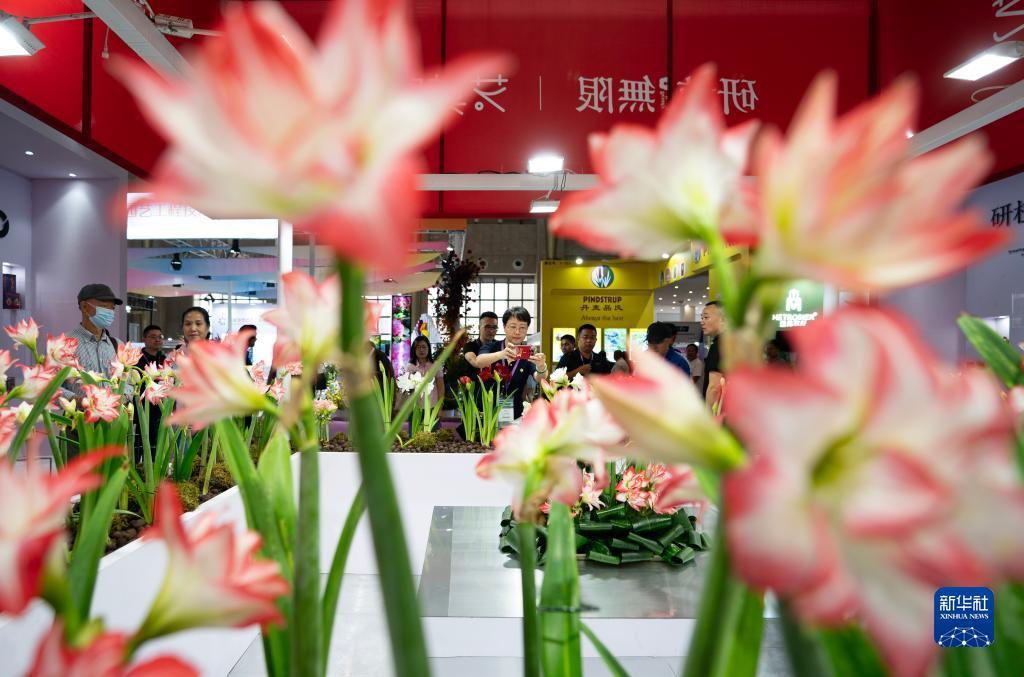 pc赌博怎么玩